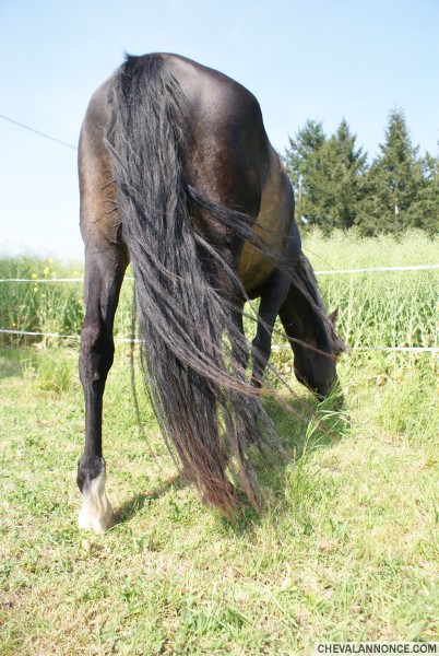 Photo de profil de salvada41