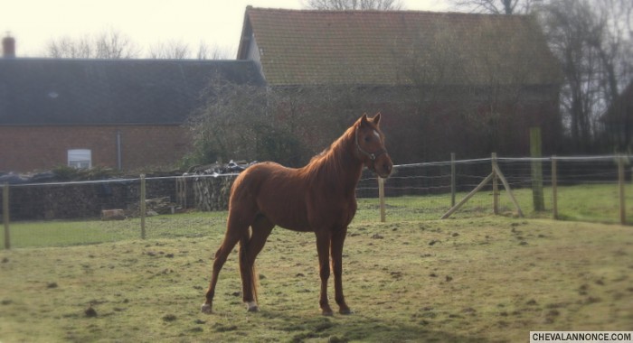 Photo de profil de adibidibou