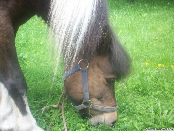 Photo de profil de olivie