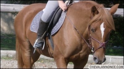 Photo de profil de petitereve26