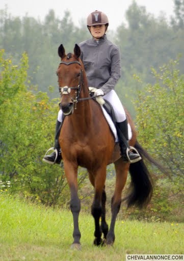 Photo de profil de laura19pompa