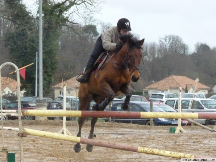 Photo de profil de co64