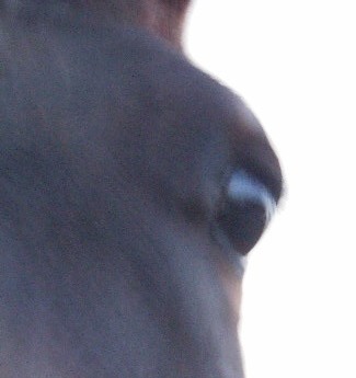 Photo de profil de nono190783