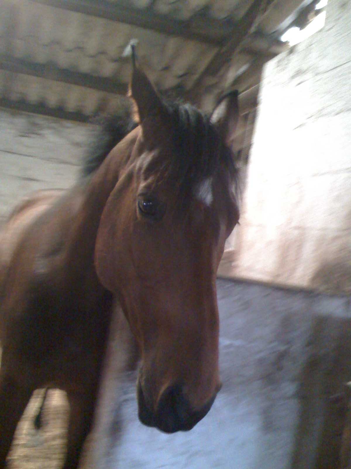 Photo de profil de norikdepetra