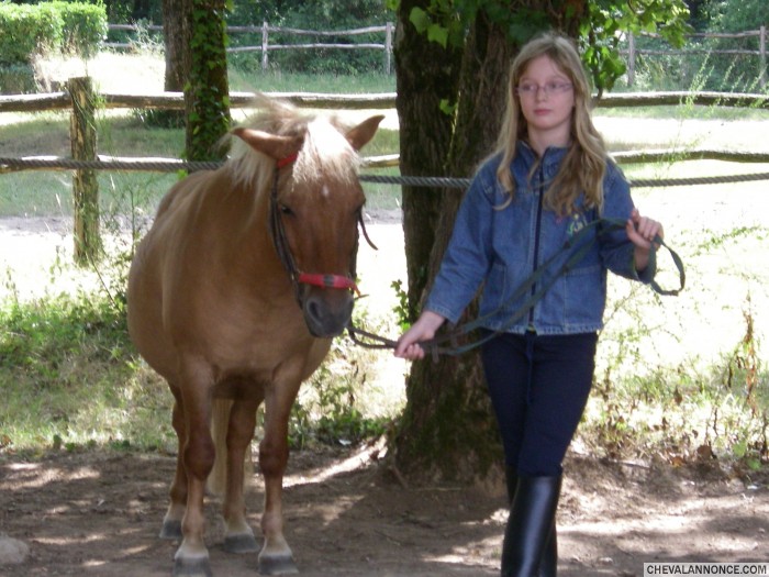 Photo de profil de louloume