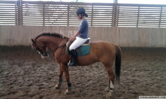 Photo de profil de lauragwd