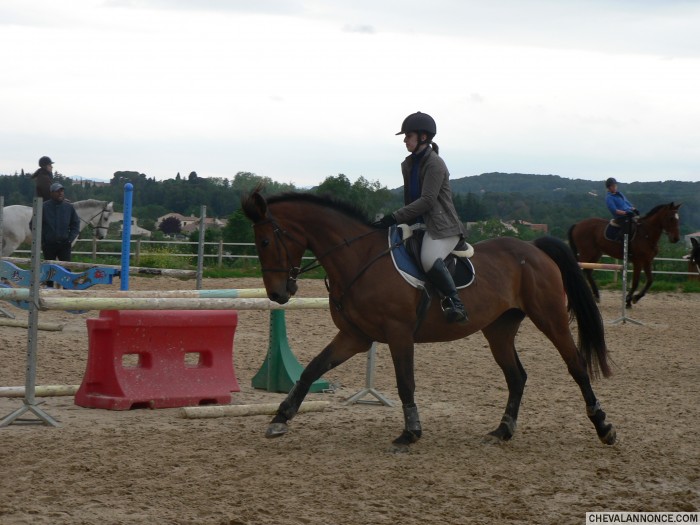 Photo de profil de ptitemady