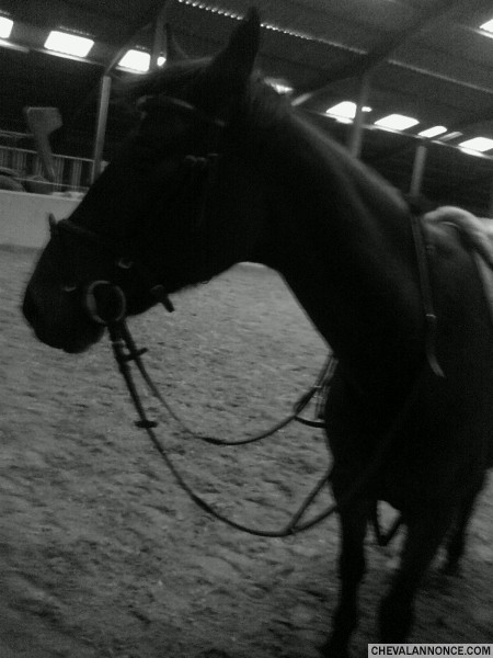 Photo de profil de kichou