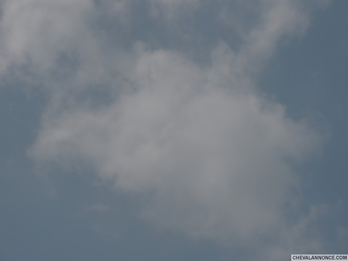 Photo de profil de salome54