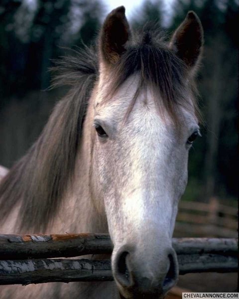 Photo de profil de marine2212