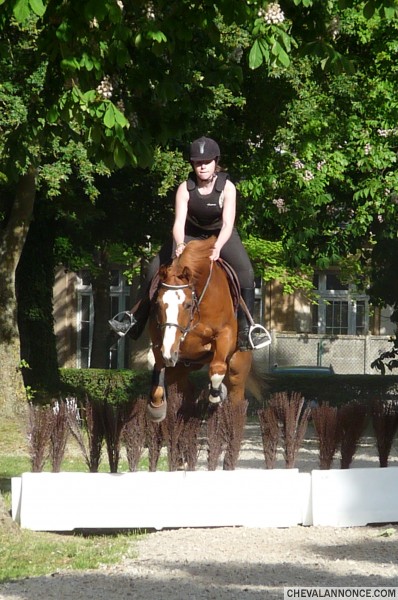 Photo de profil de bataka