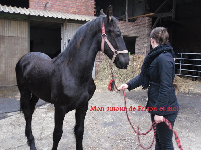 Photo de profil de paulda