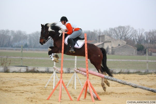 Photo de profil de ludi19