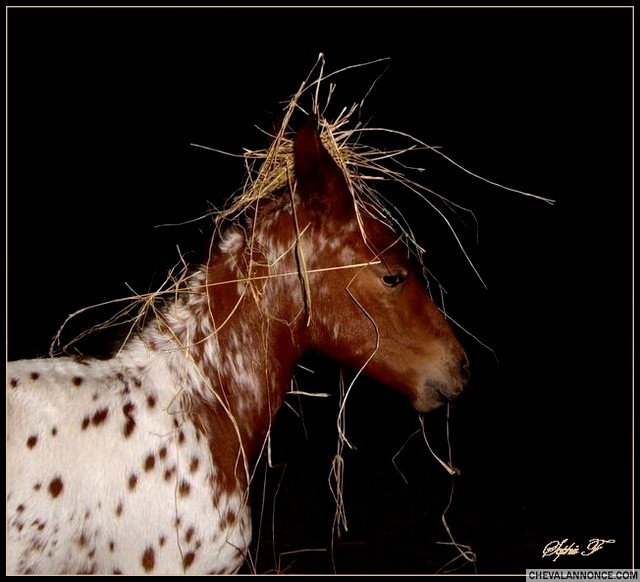 Photo de profil de sam79