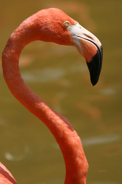 Photo de profil de photosinvent