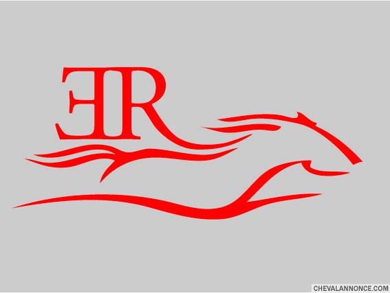 Photo de profil de equiroute