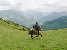 Photo de profil de pollestres