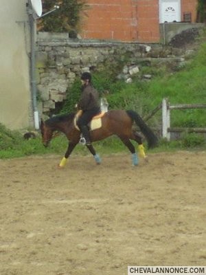 Photo de profil de luckysmind