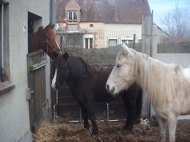 Photo de profil de pupsy51