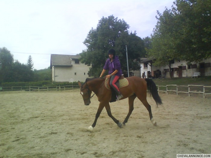 Photo de profil de fiky