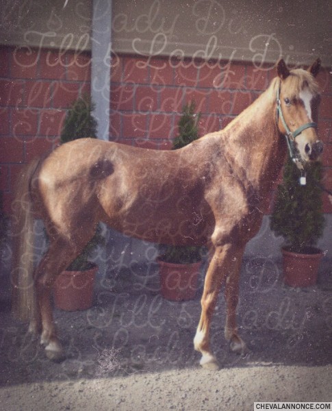 Photo de profil de manonl
