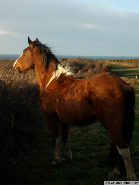 Photo de profil de lolotte99