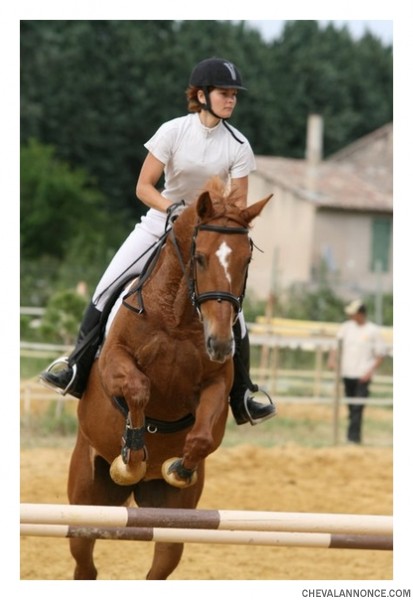 Photo de profil de quitarubercy