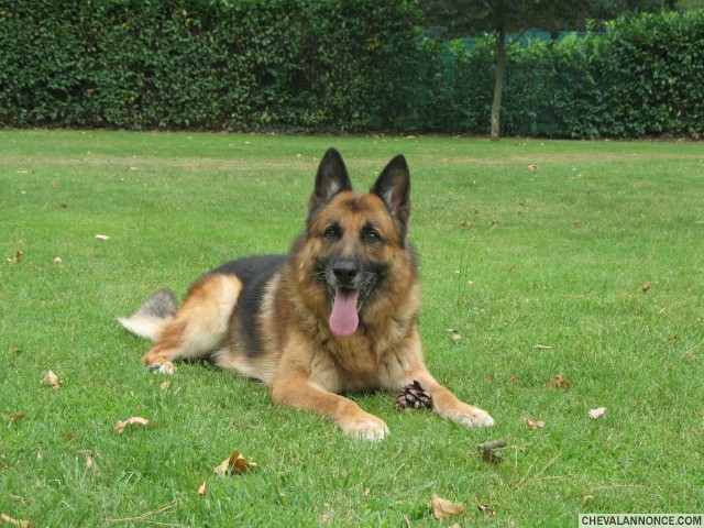 Photo de profil de f4sa