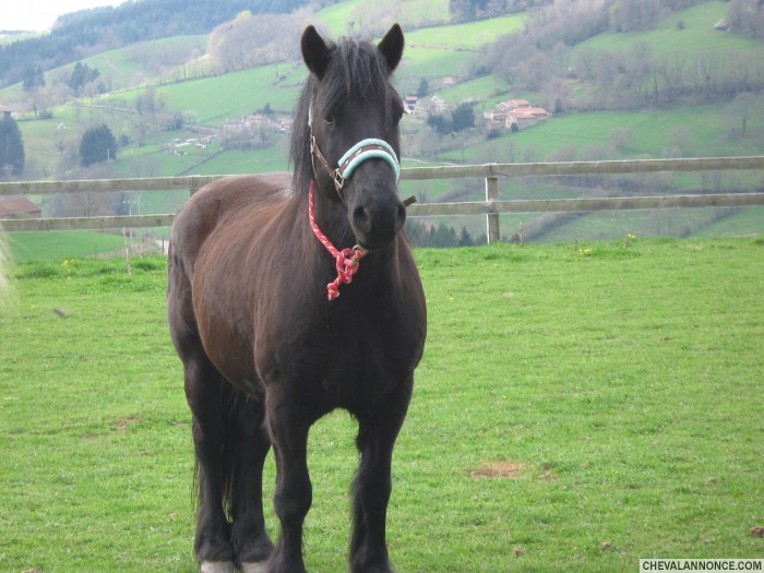 Photo de profil de vodoo69