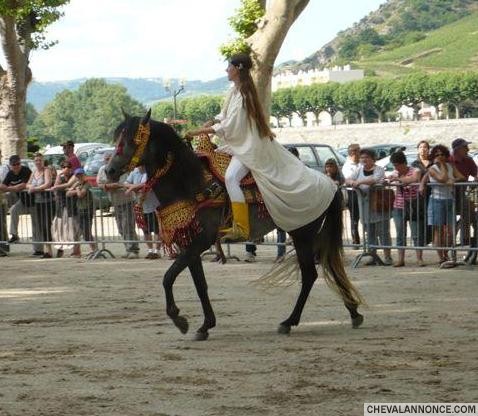Photo de profil de julie7488