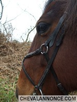 Photo de profil de orangeeee