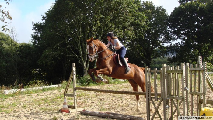 Photo de profil de minilovec