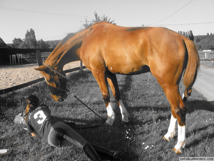 Photo de profil de obelichoux