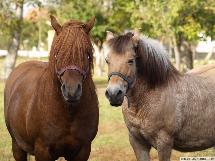 Photo de profil de isabo67