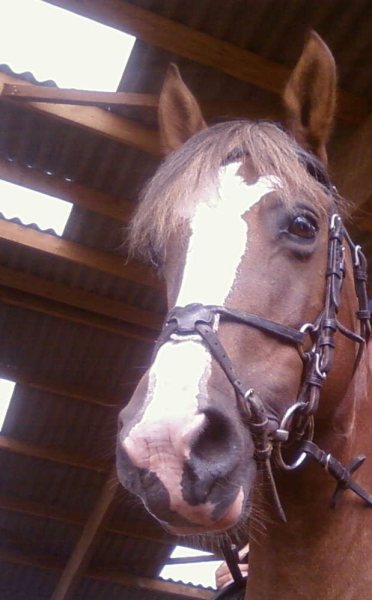 Photo de profil de rach91