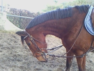 Photo de profil de racines