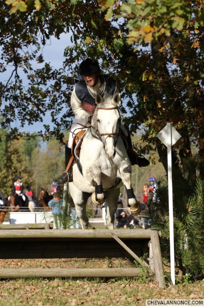 Photo de profil de ibisakelly