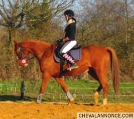 Photo de profil de senior_de_janze