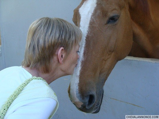 Photo de profil de bonidomdom