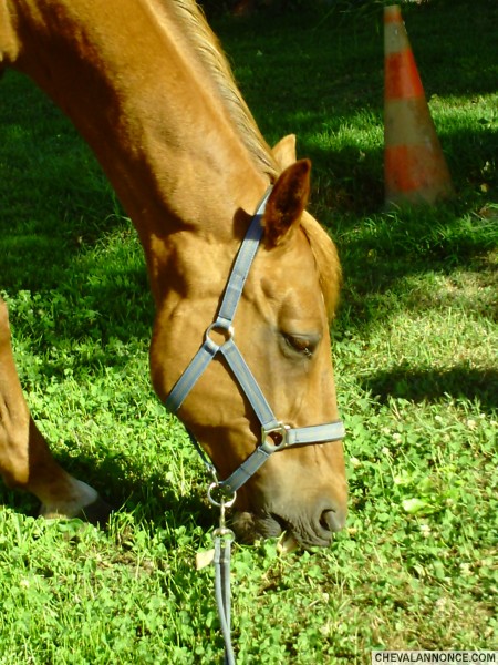 Photo de profil de irus.2.cabassut