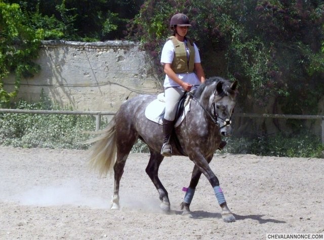 Photo de profil de poca76930