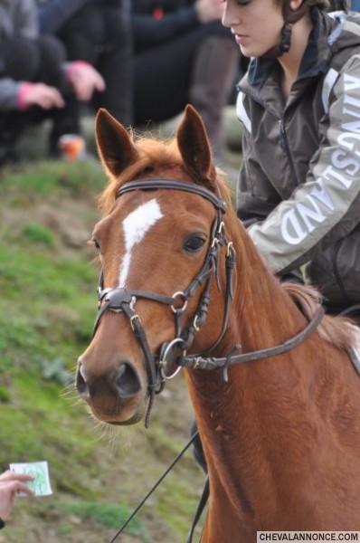 Photo de profil de maty888