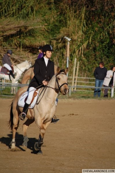 Photo de profil de co13