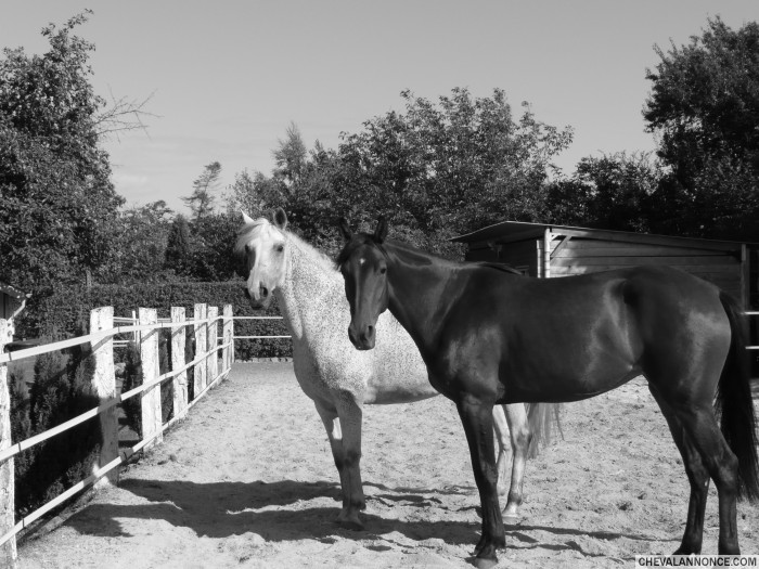 Photo de profil de capucine59