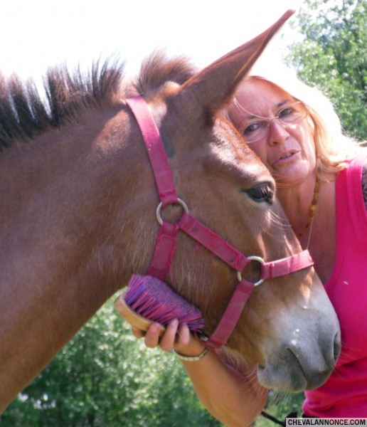 Photo de profil de garonne