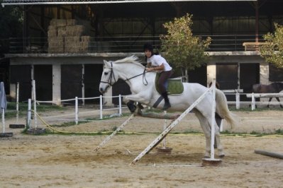 Photo de profil de sara30