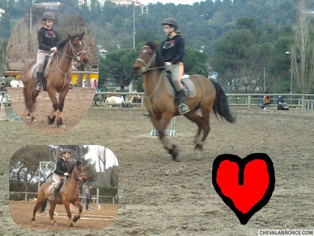 Photo de profil de lisasart