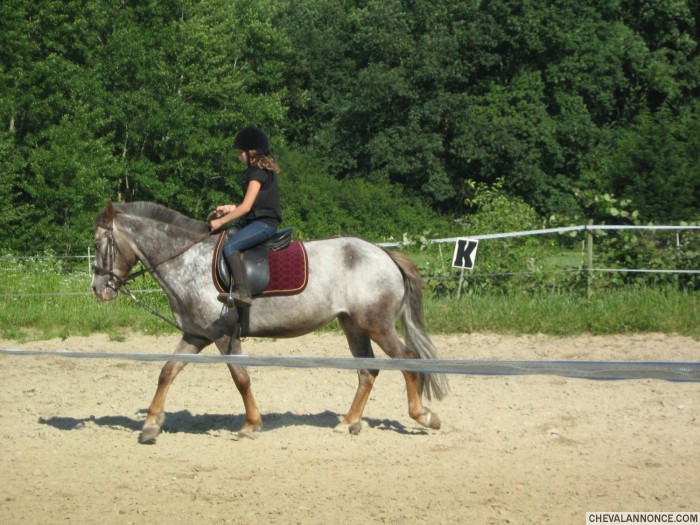 Photo de profil de laurine38