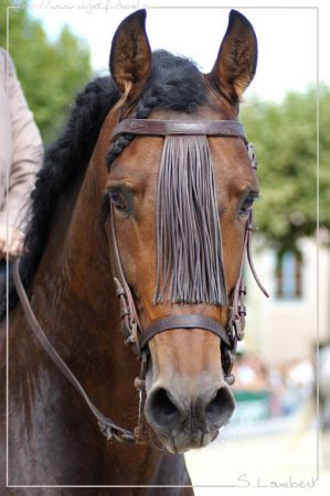 Photo de profil de sisty