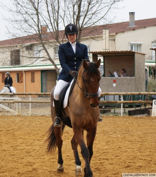 Photo de profil de popo34690